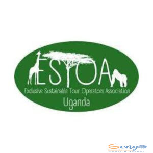 xr:d:DAF87rVU4_s:21,j:786298736468944932,t:24030408