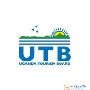 xr:d:DAF87rVU4_s:21,j:786298736468944932,t:24030408