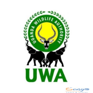 xr:d:DAF87rVU4_s:32,j:6595942345274157010,t:24030505