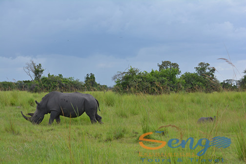 15 Days Uganda Safari